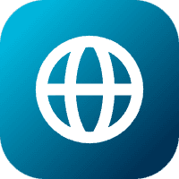 Web Search Provider